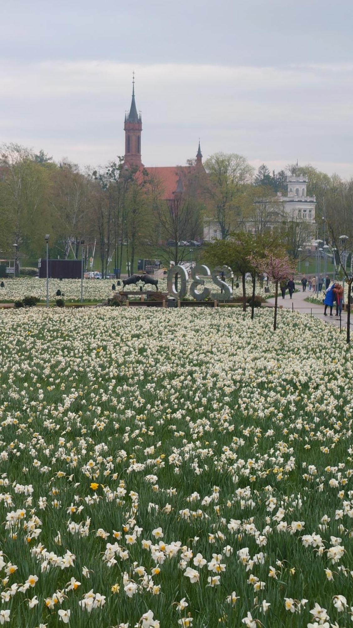 Druskininku Pasaga Druskininkai Esterno foto